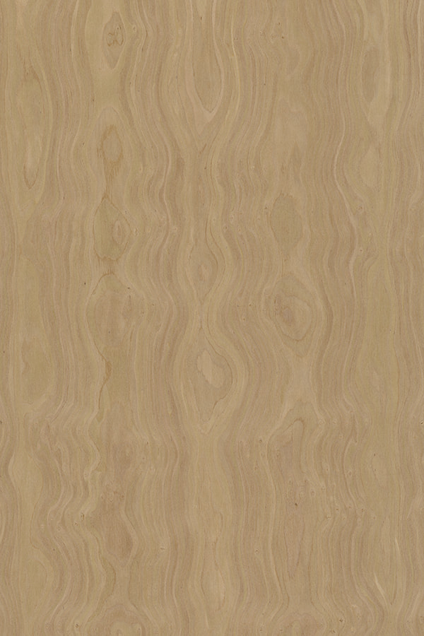 Maple Burl Design Quarter Cut veneer gỗ được thiết kế #1785N